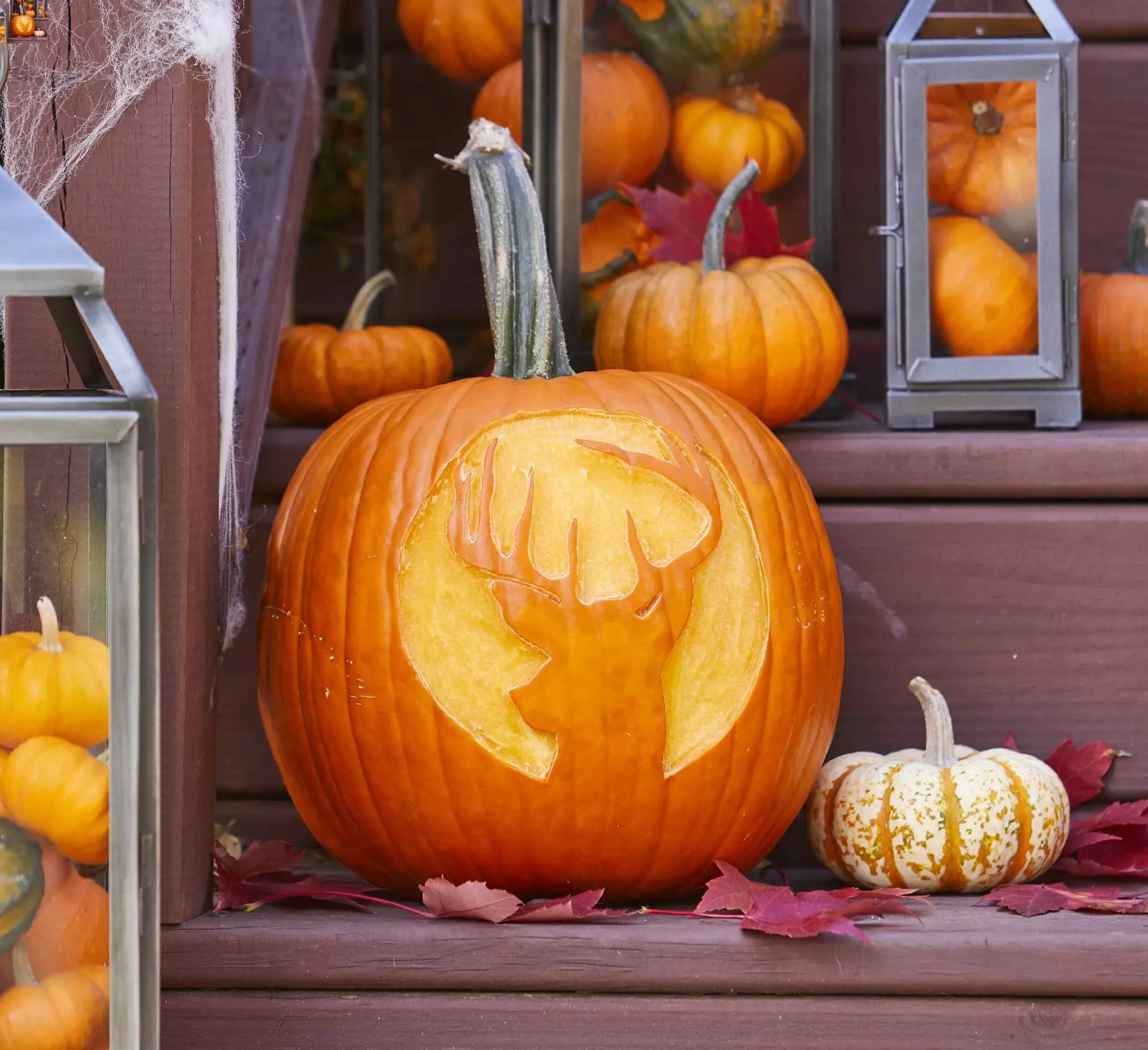 Beyond the Basics: Adding Flair to Your Easy Animal Pumpkin Carving Ideas
