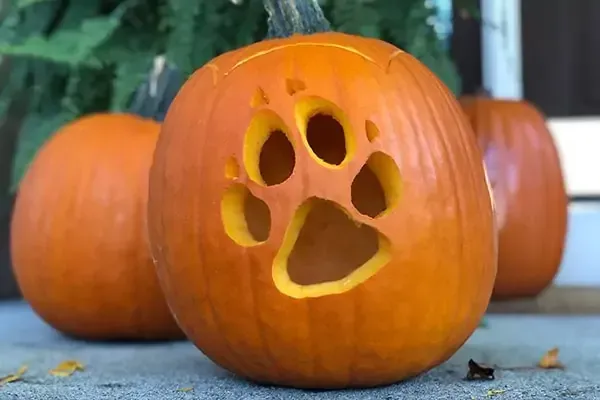 Beyond the Carve: Displaying Your Wolf Pumpkin Masterpiece