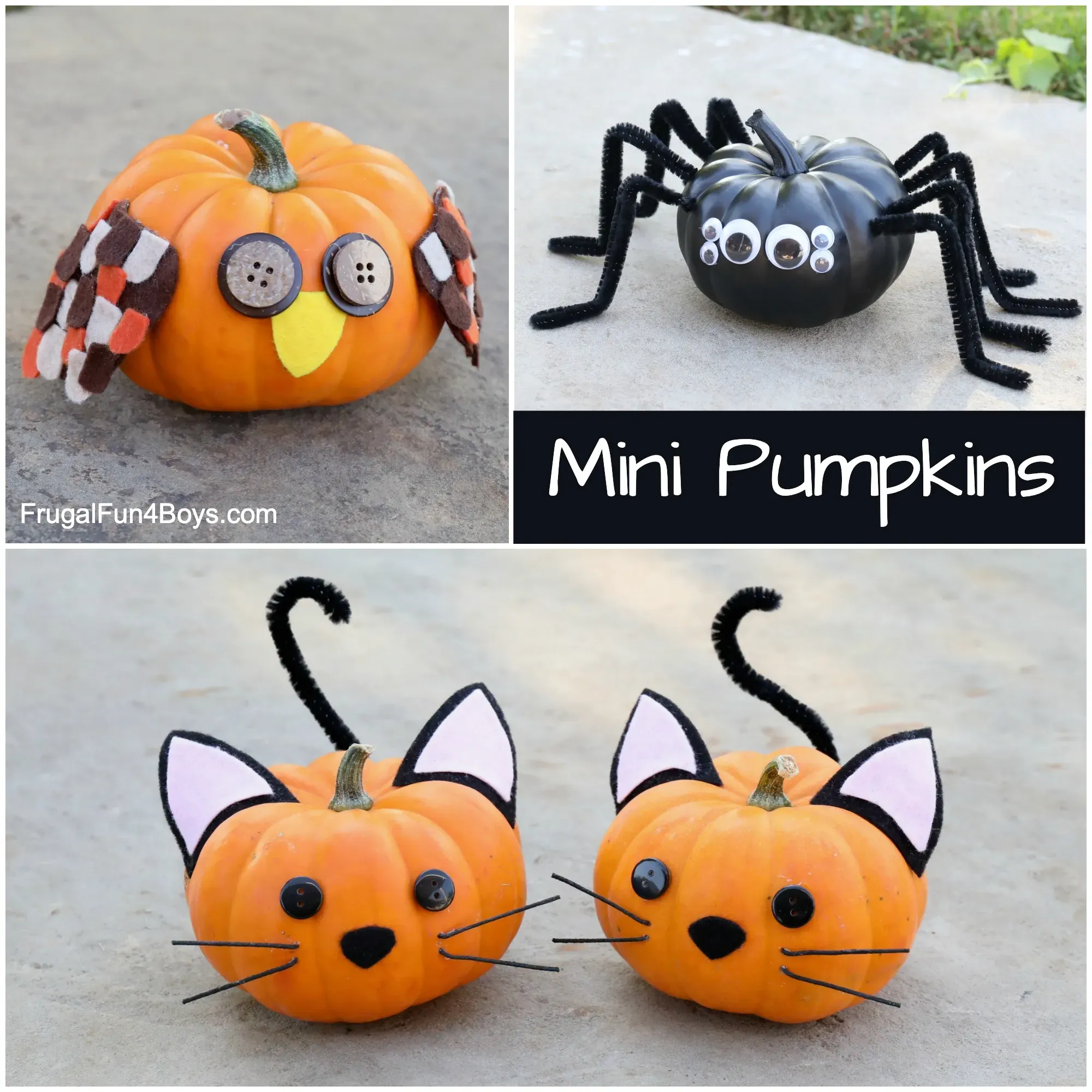 Beyond the Jacko'Lantern: Quick Design Ideas for Small Pumpkins