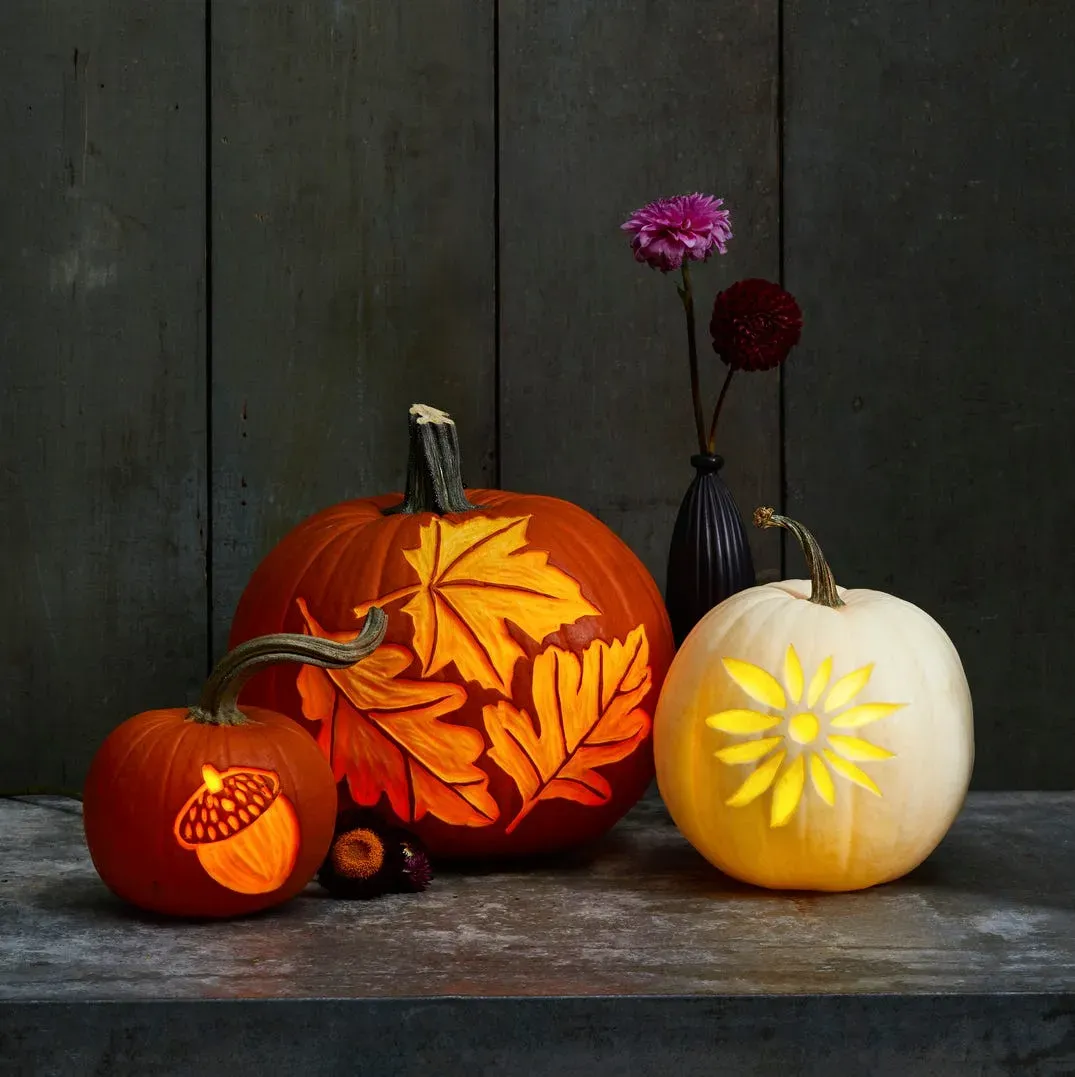 Choosing the Right Pumpkin and Pattern for Your Display