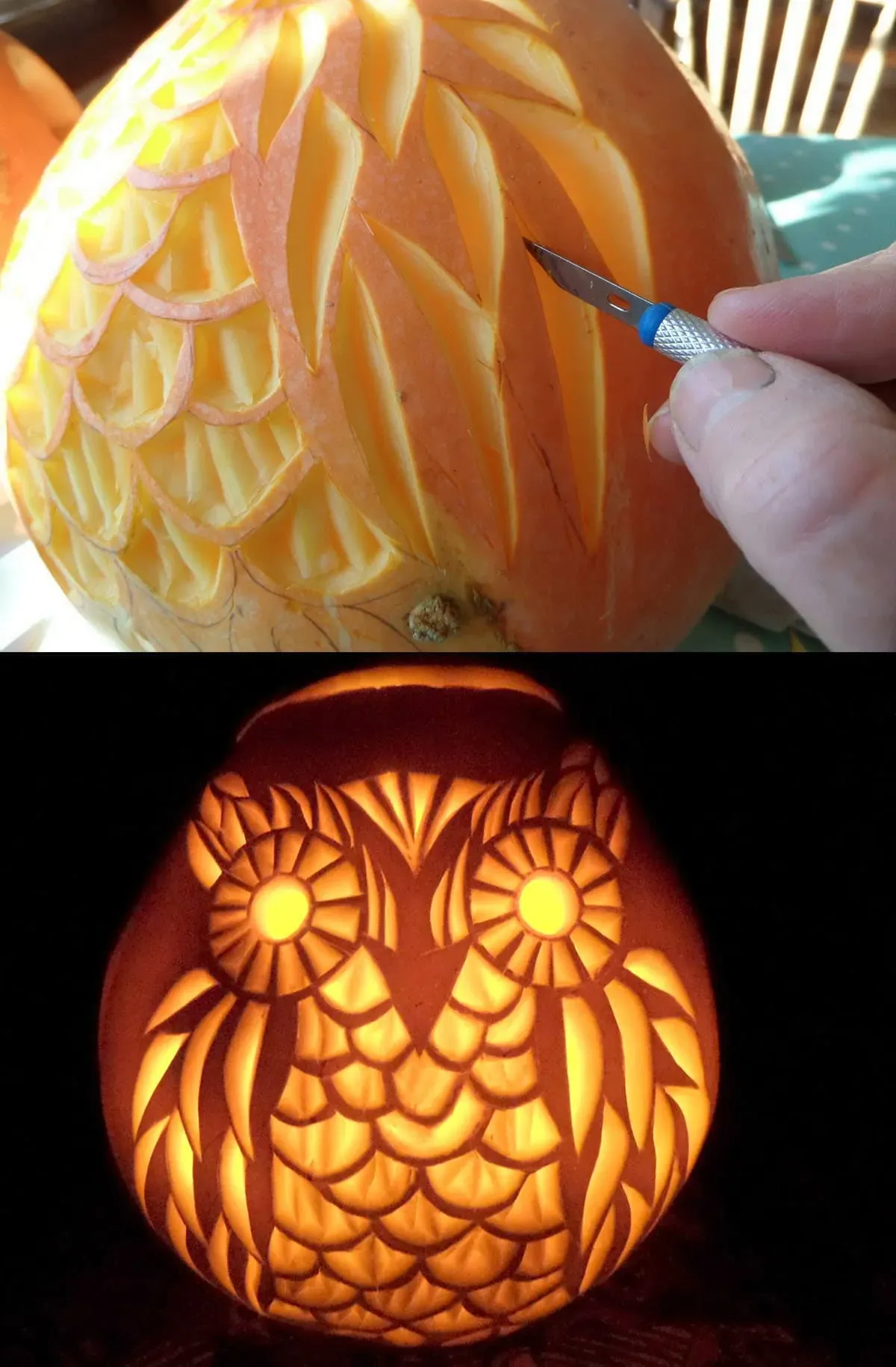 Classic and Creative Ideas for Pumpkin Carving Easy