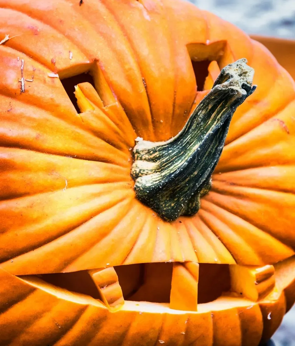 Displaying Your Unique Pumpkin Creations and Troubleshooting Tips