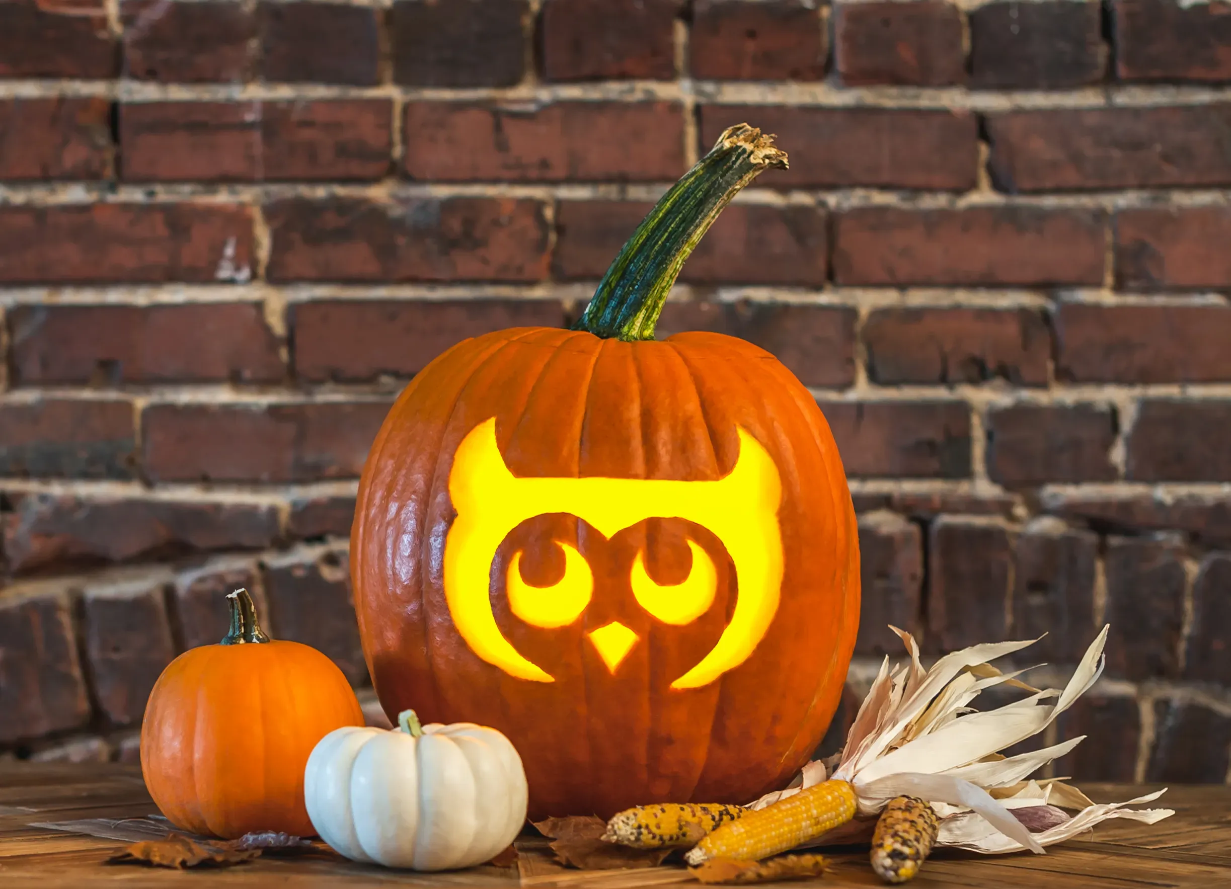 Unlock easy owl pumpkin carving ideas using stencils
