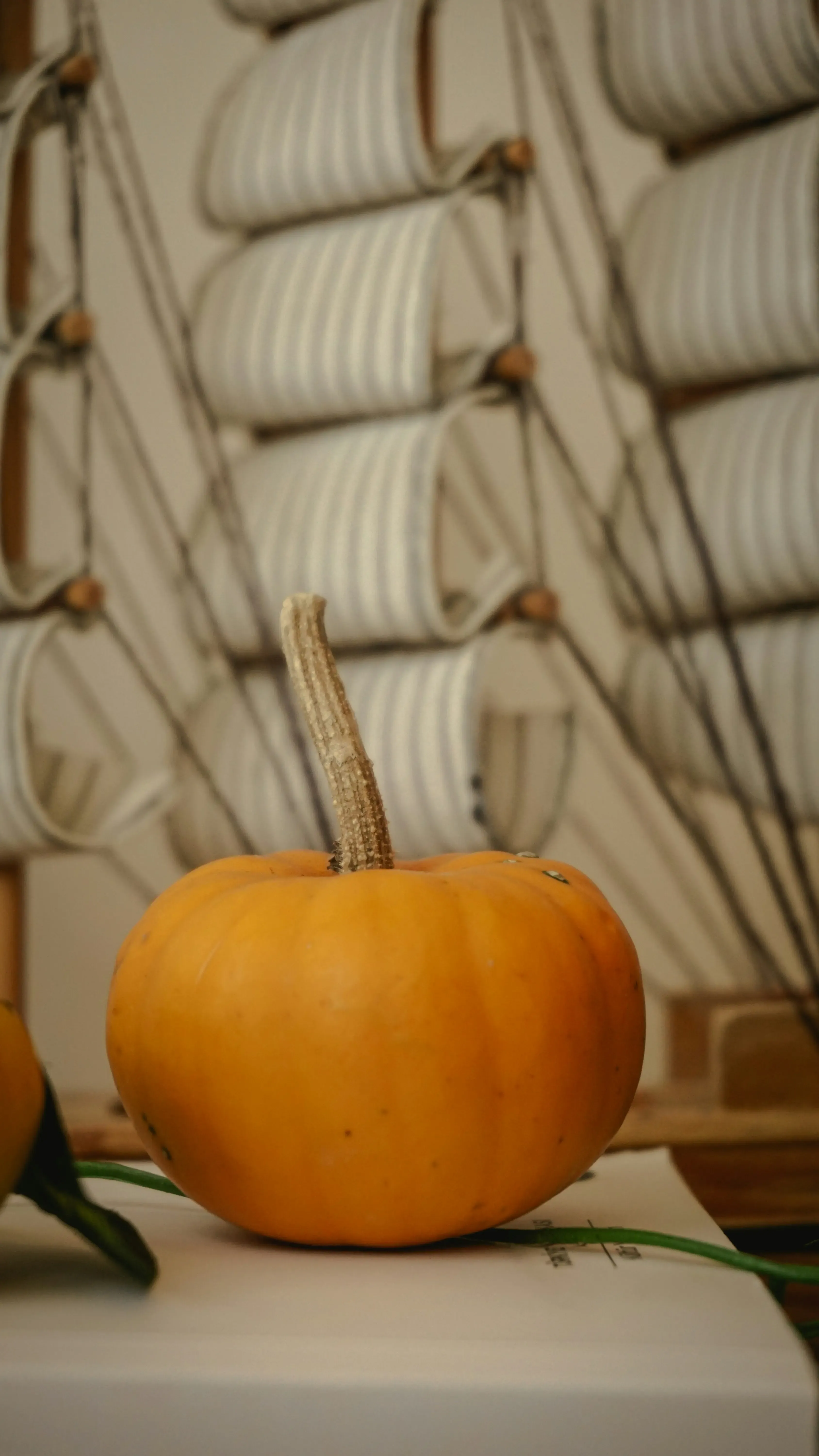 Finishing Touches: Preserving Your Toothpick Pumpkin Masterpiece