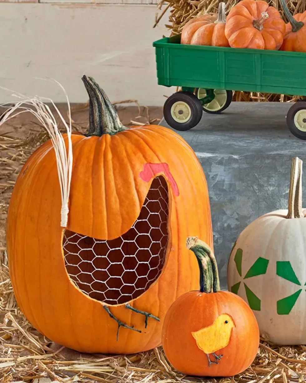 Getting Ready: Tools & Picking the Perfect Pumpkin
