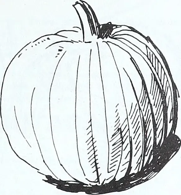 Getting Started: Picking the Perfect Pumpkin for Easy Carving