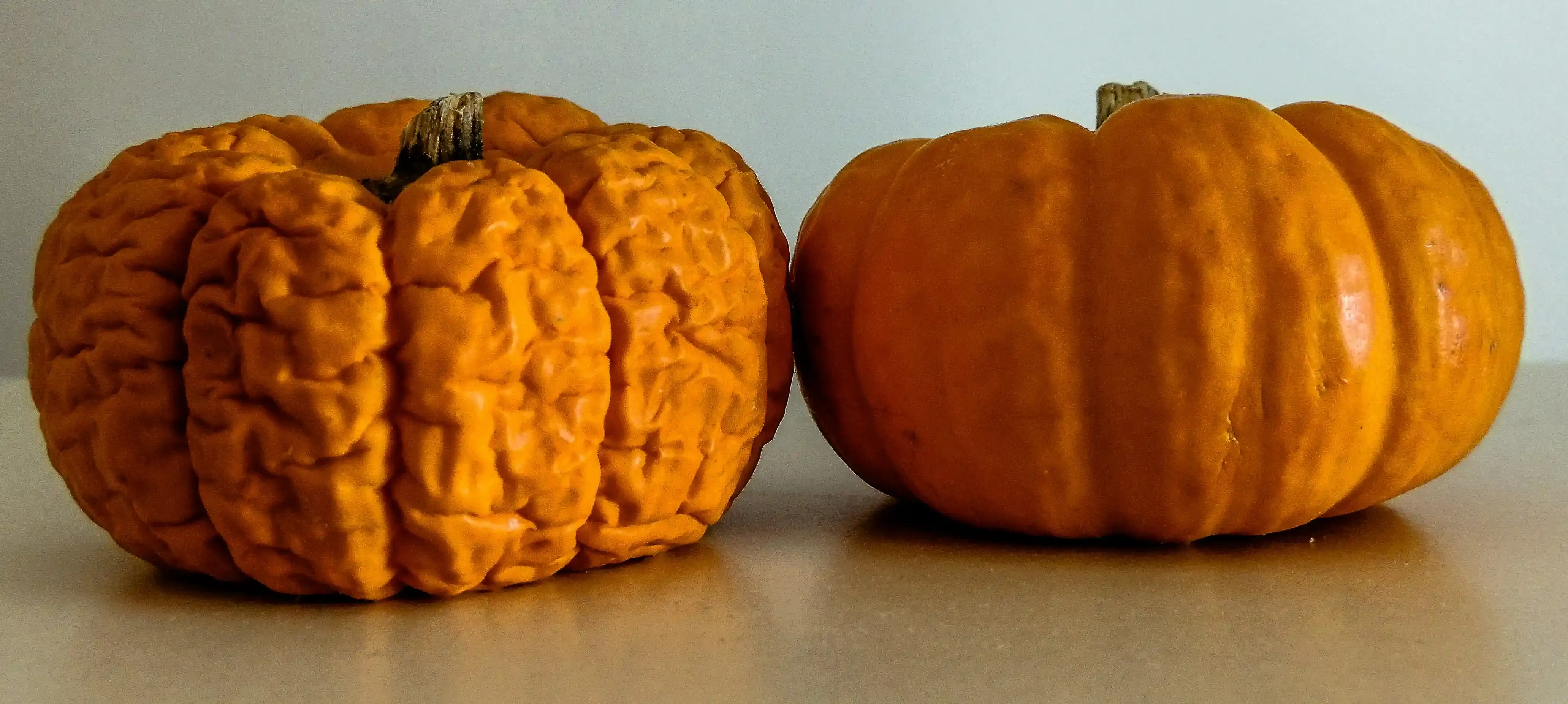 Making Your Easy Pumpkin Carving Last Longer