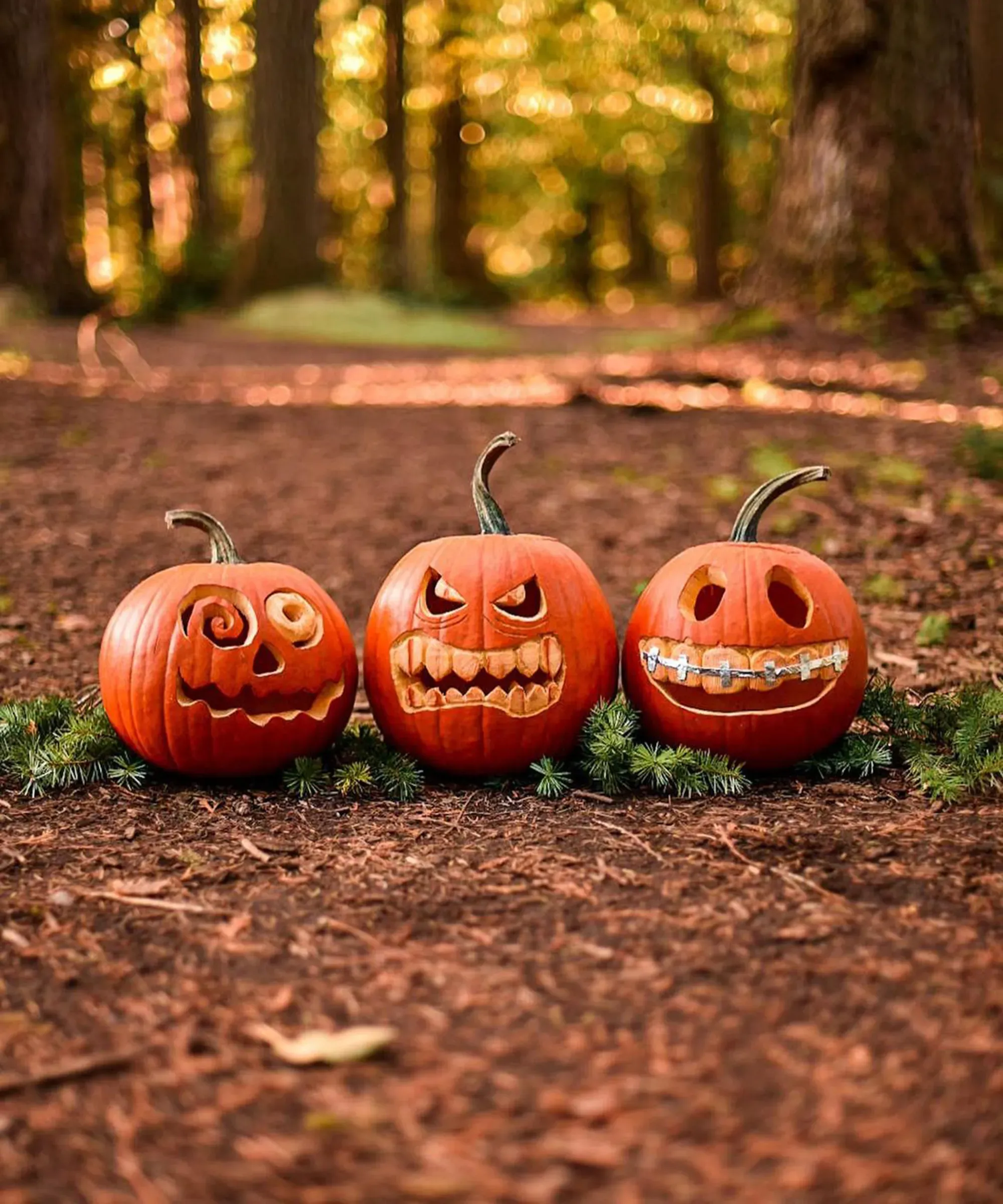Making Your Small Easy Pumpkin Carving Ideas Last Through Halloween