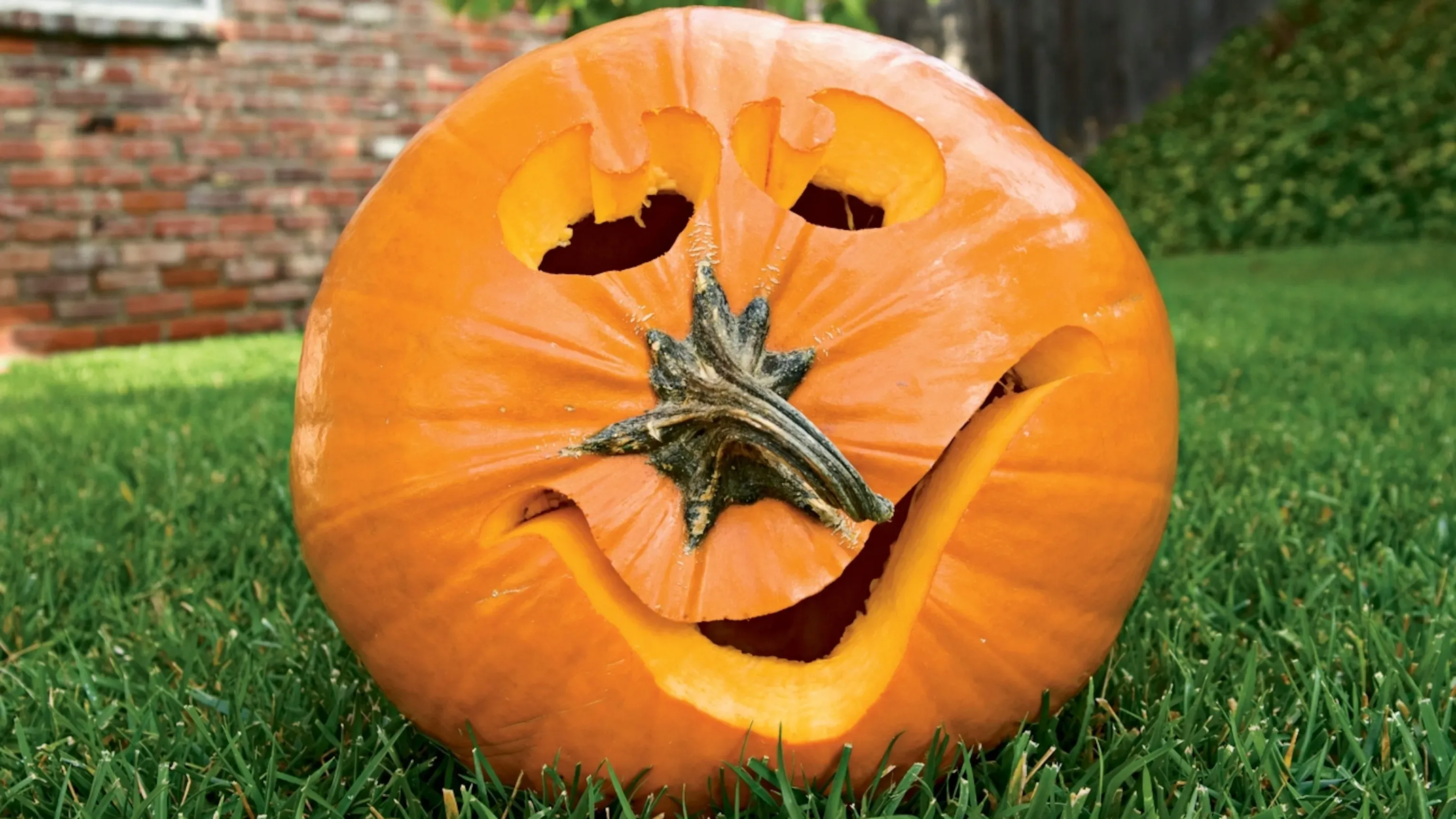 Mastering Pumpkin Carving Ideas Using Stem as Nose