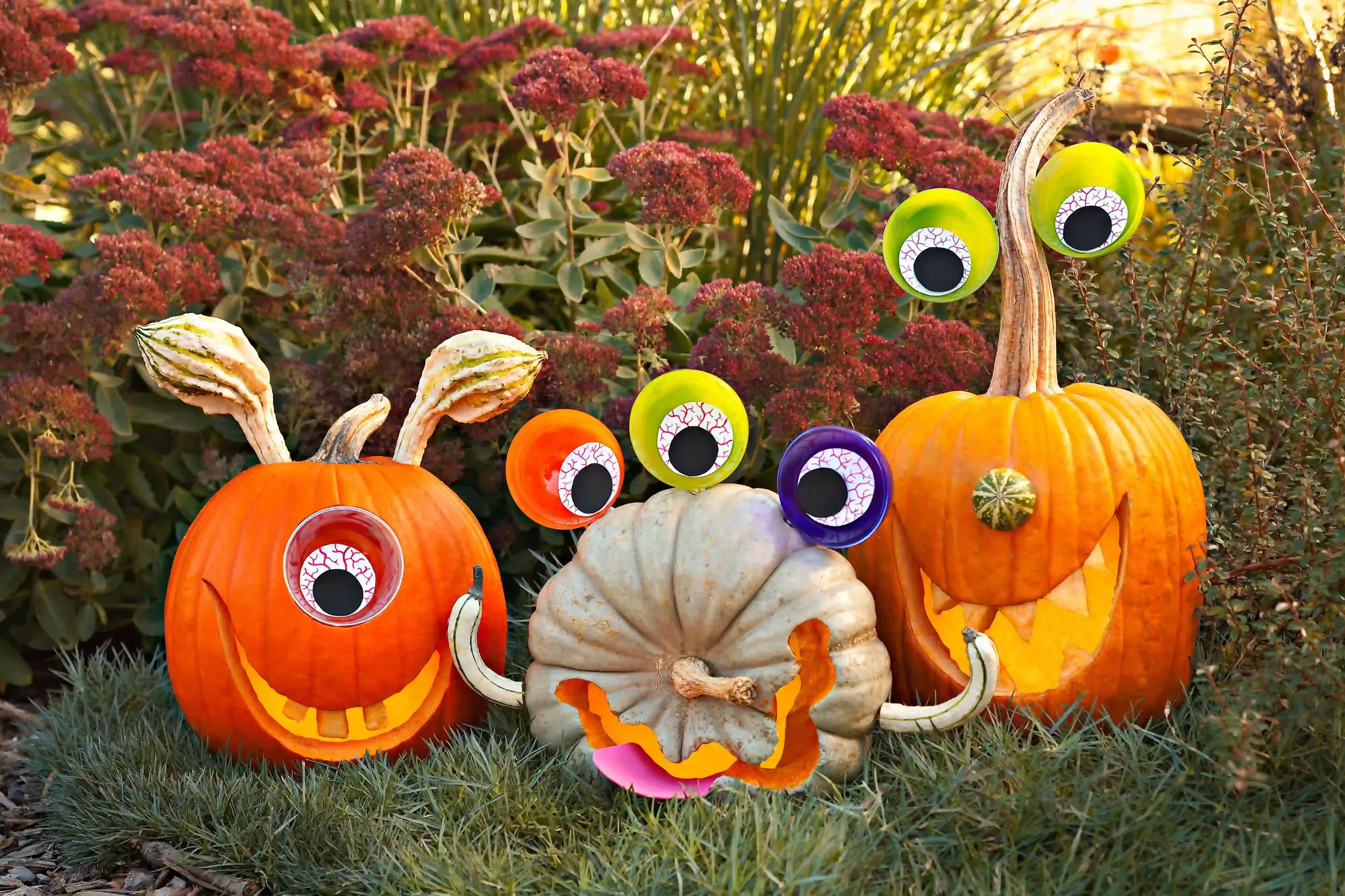 NoCarve Pumpkin Ideas Toddlers Can Actually Do (Messy fun encouraged)