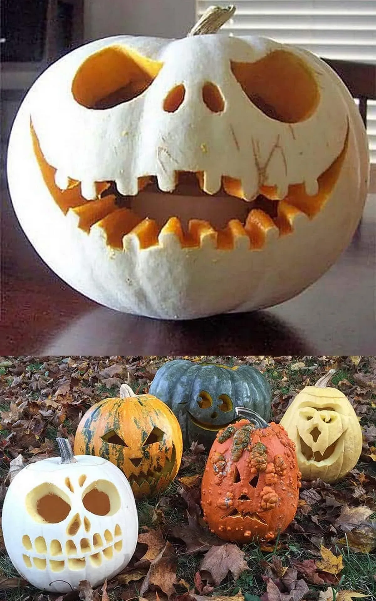 Our Favorite Easy Beginner Pumpkin Carving Ideas to Try
