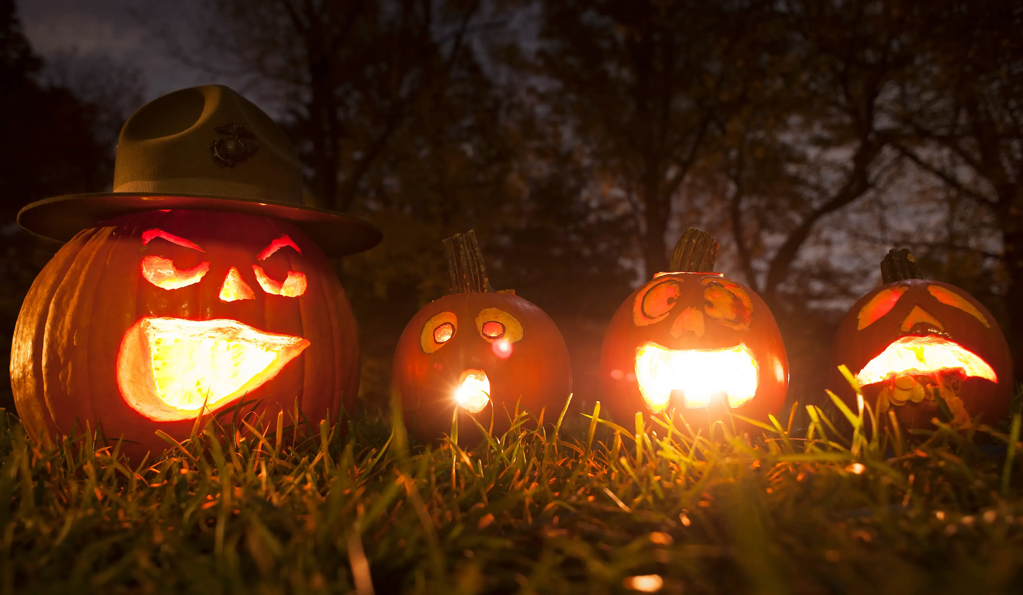 Picking Your Perfect Halloween Pumpkin Carving Theme