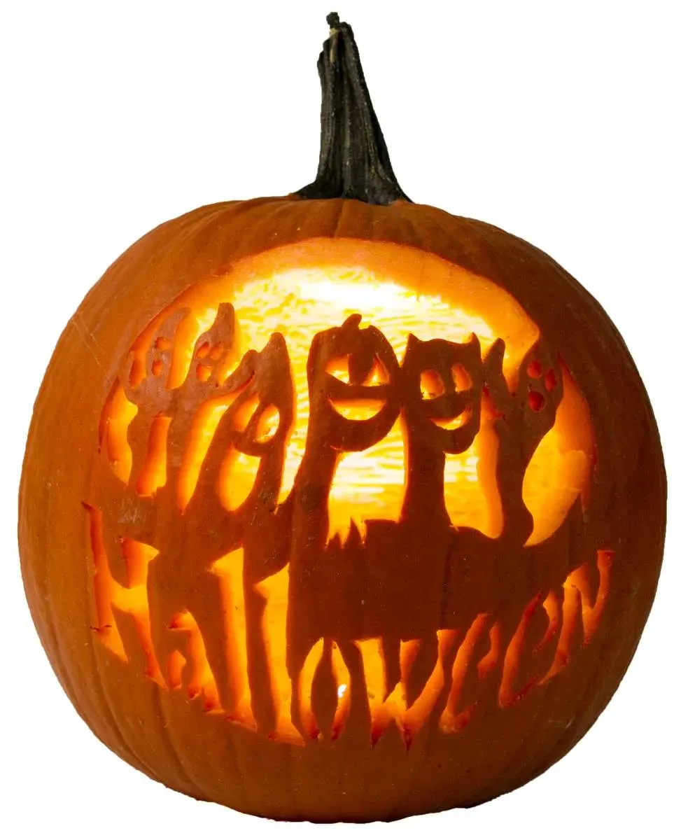 Best pumpkin carving ideas jack o lantern for 2025