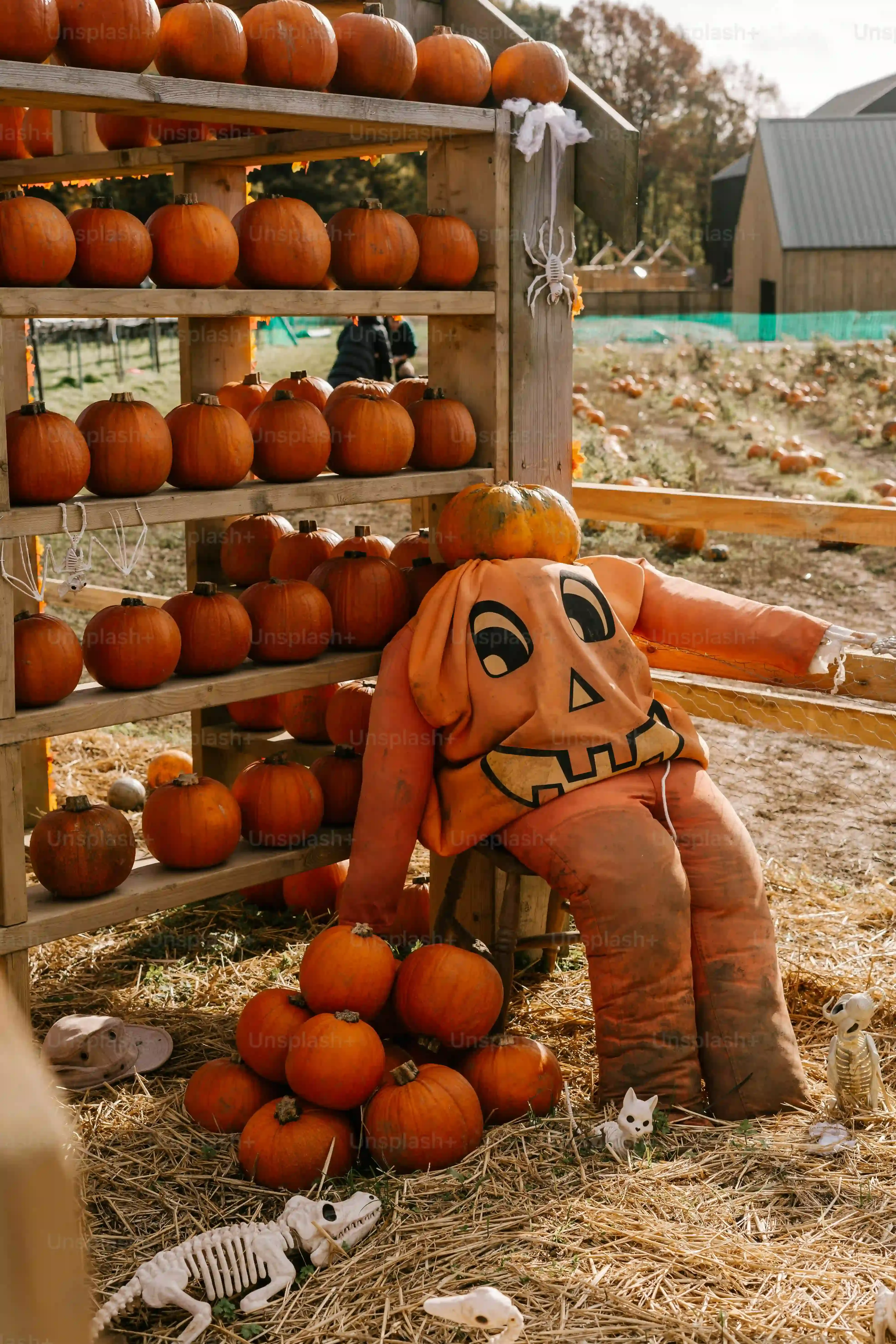 Simple & Awesome pumpkin carving ideas Rick and Morty