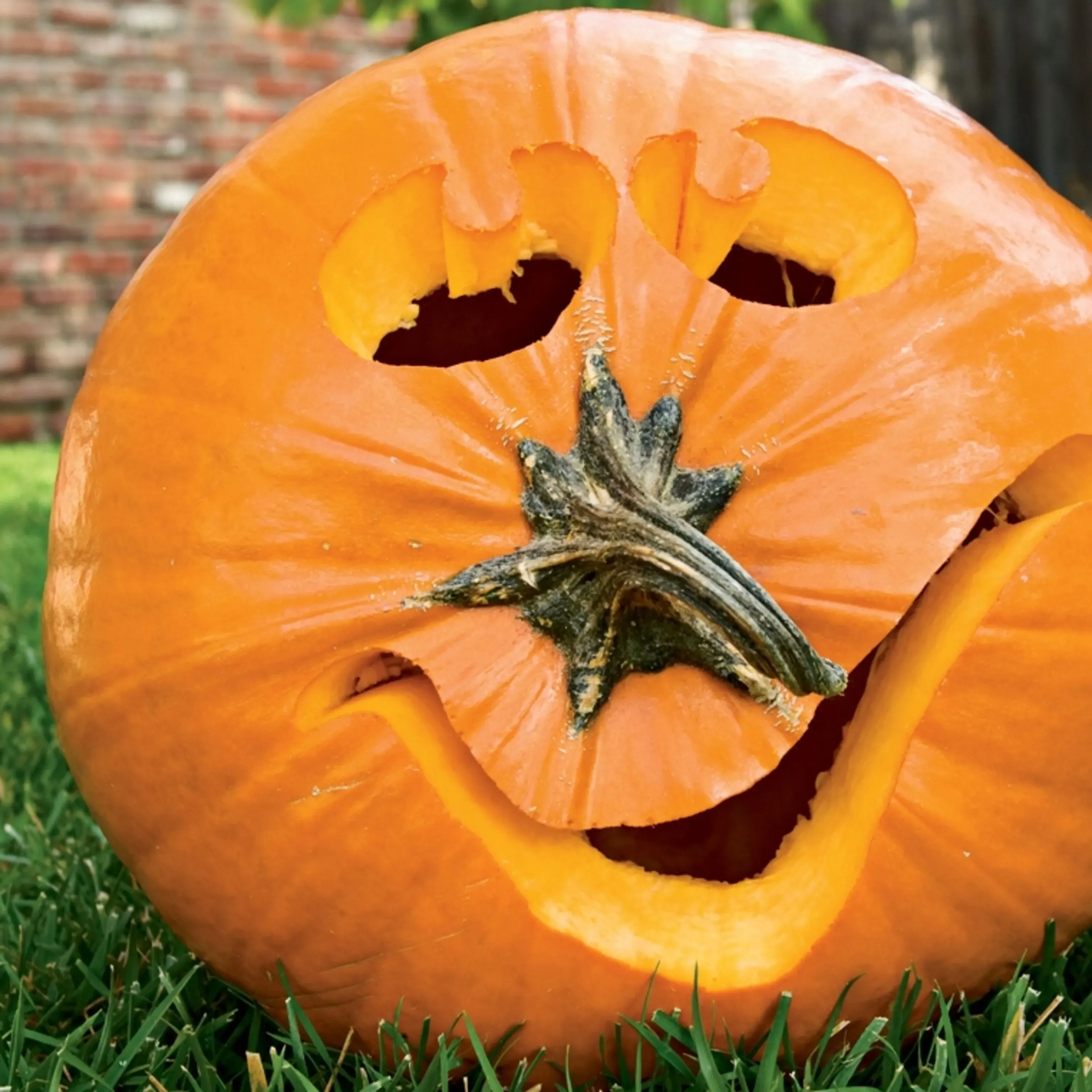 Creative pumpkin carving ideas using the stem