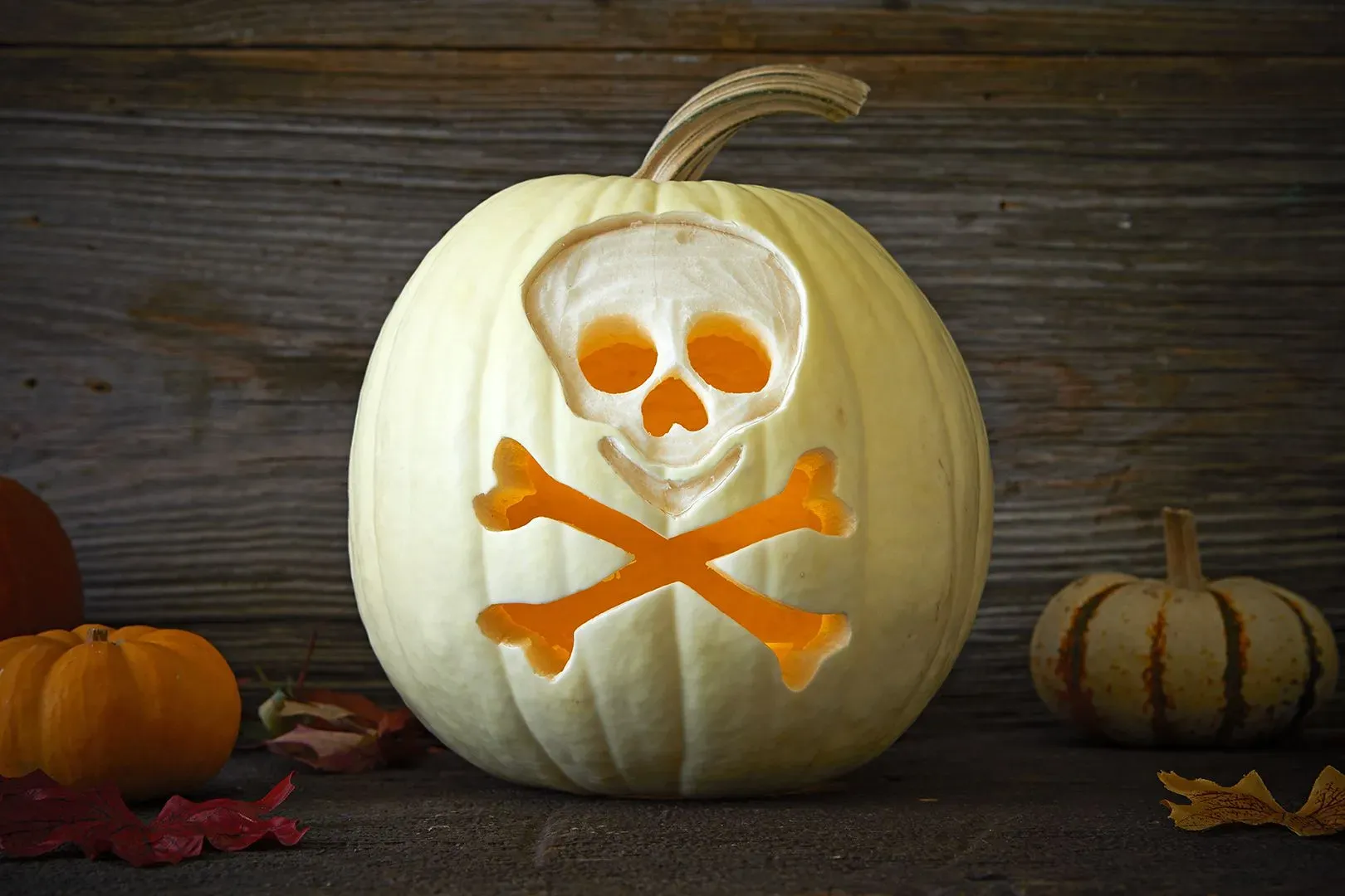 Discover really easy pumpkin carving ideas now!
