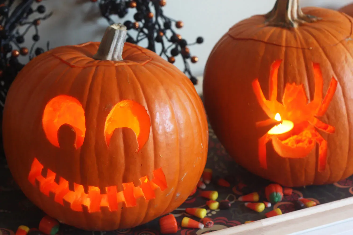 Simple Animal Designs: Cute Easy Pumpkin Carving Ideas for Every Skill Level