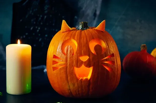 Simple Techniques for Pumpkin Carving Ideas Easy Cat Style