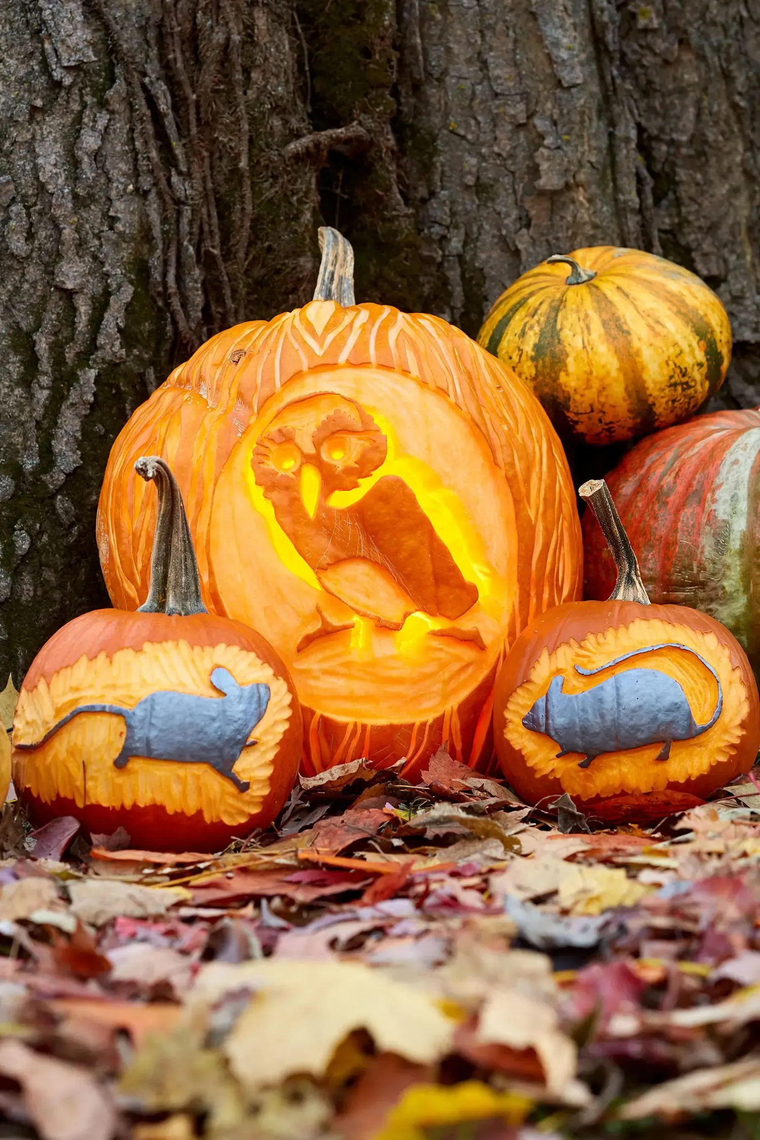 Spooky & Fun Halloween Pumpkin Carving Ideas & Templates