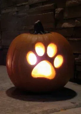 Stencils Are Your Best Friend: Super Easy Dog Pumpkin Carving Ideas