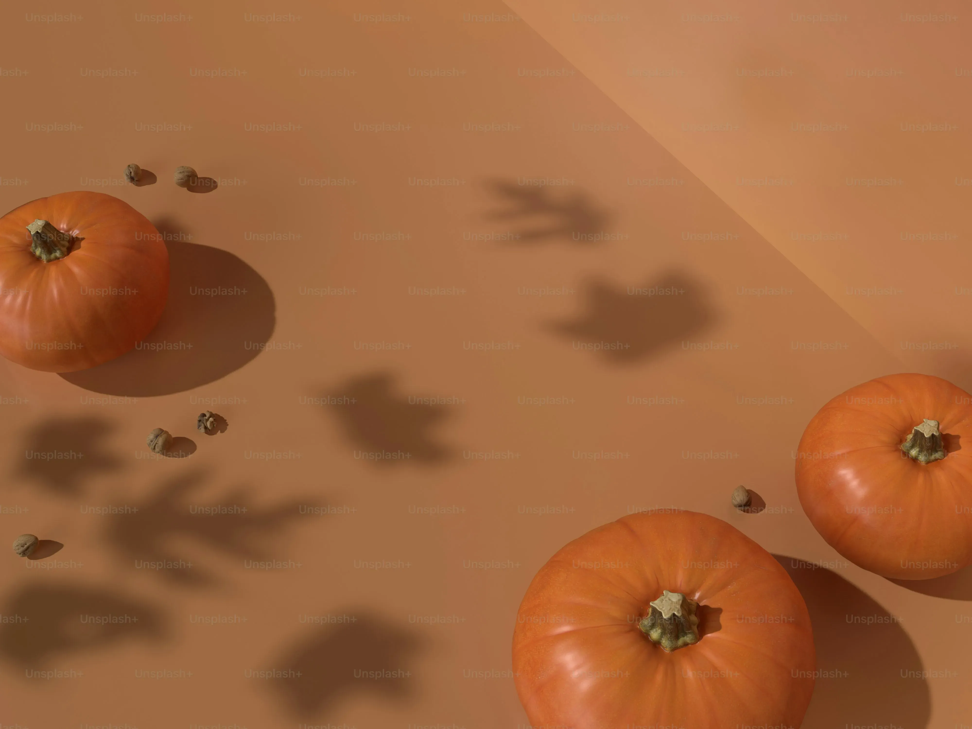 StepbyStep: Using Your Stencil for Easy Pumpkin Carving