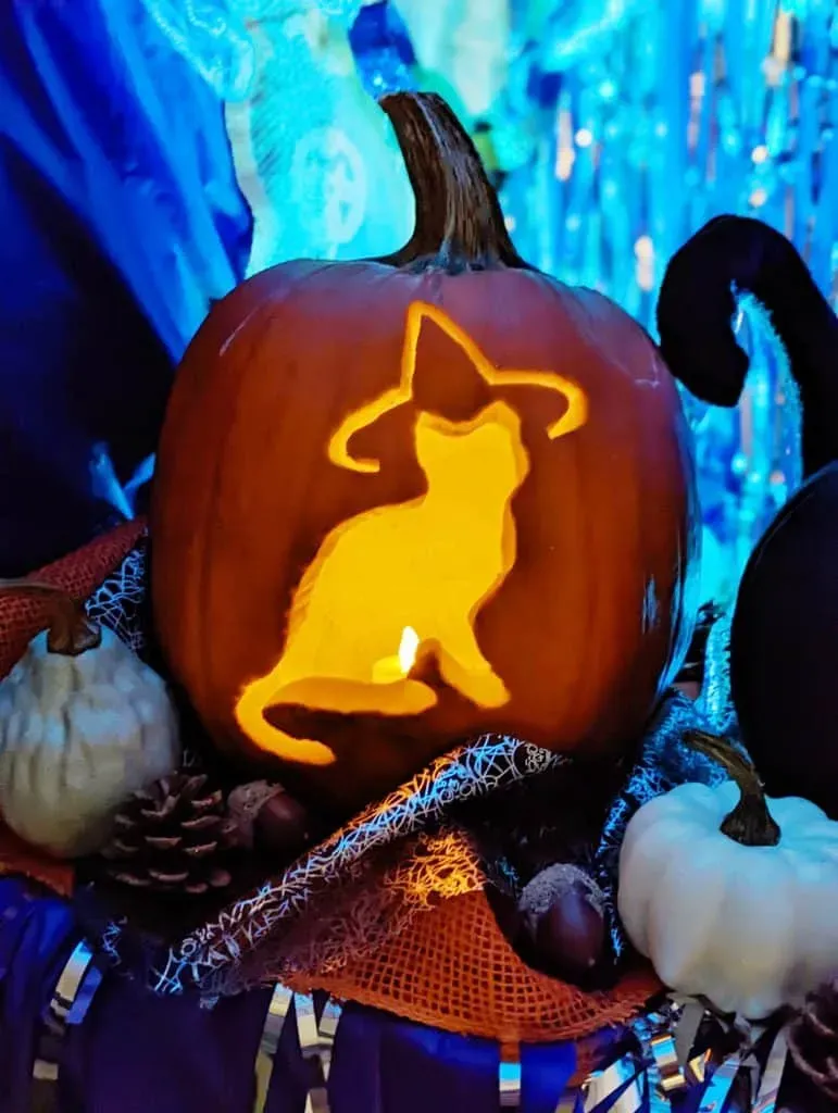 Why an Easy Cat Pumpkin is Your Halloween Goal