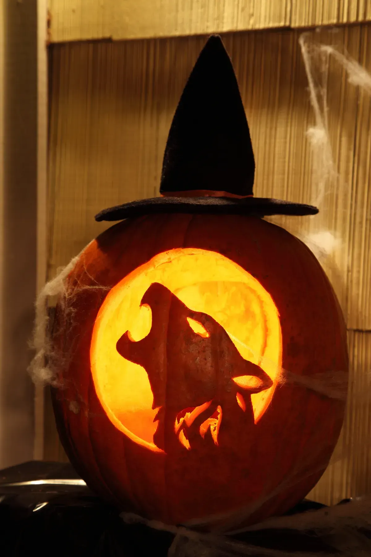 Why Easy Animal Pumpkin Carving Ideas Are a Hit