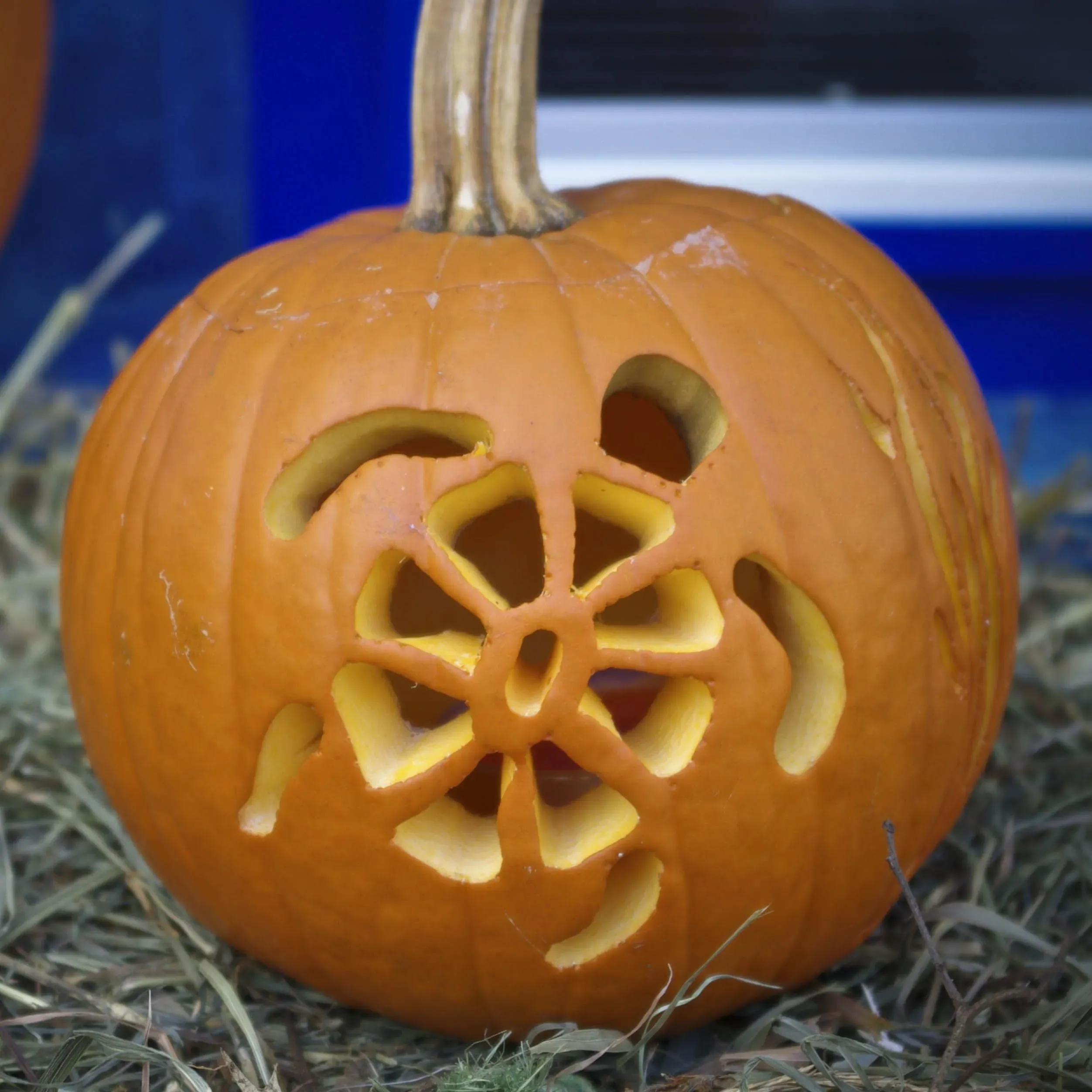 Why Try Cute But Easy Pumpkin Carving Ideas This Year?
