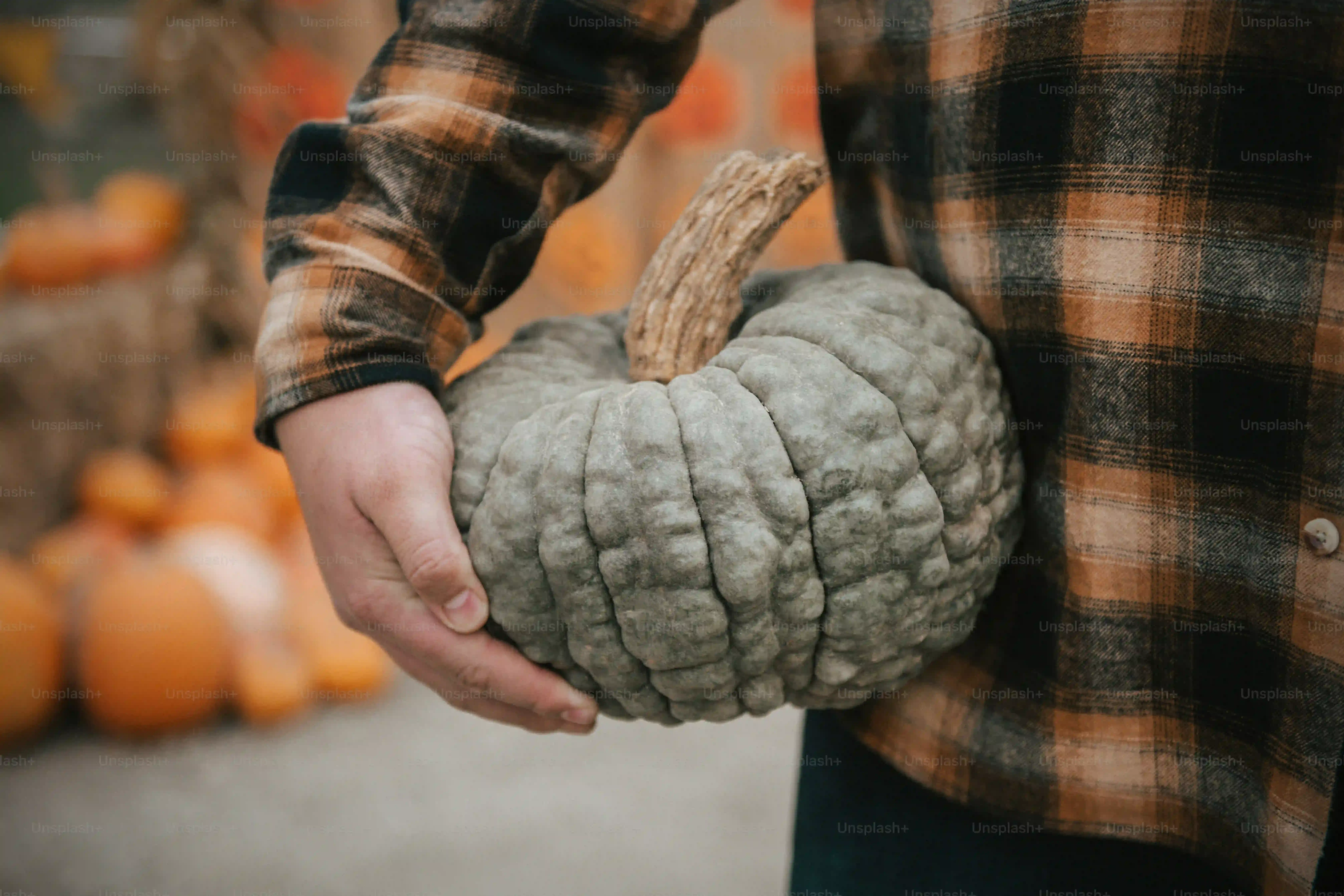 Your GoTo List: Easy But Unique Pumpkin Carving Ideas Beyond the Classic Grin